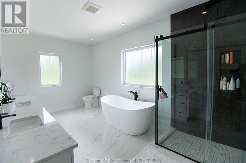 23636 Zone Road 1, Thamesville, ON - Indoor Photo Showing Bathroom