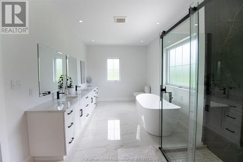 23636 Zone Road 1, Thamesville, ON - Indoor Photo Showing Bathroom