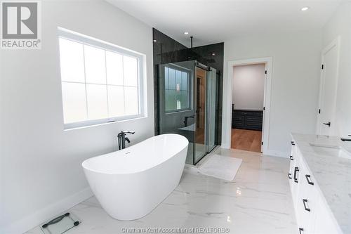 23636 Zone Road 1, Thamesville, ON - Indoor Photo Showing Bathroom