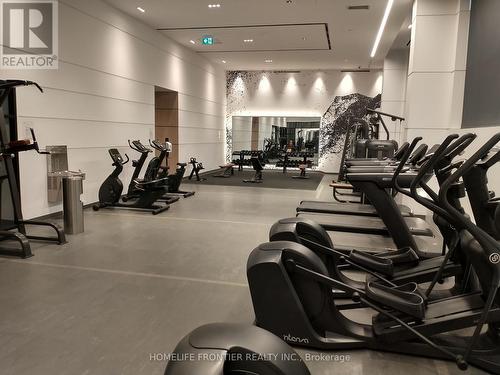 422 - 60 George Butchart Drive, Toronto (Downsview-Roding-Cfb), ON - Indoor Photo Showing Gym Room