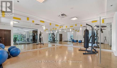 804 - 80 Western Battery Road, Toronto (Niagara), ON - Indoor Photo Showing Gym Room