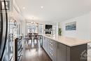 309 Joshua Street, Ottawa, ON  - Indoor Photo Showing Kitchen With Upgraded Kitchen 