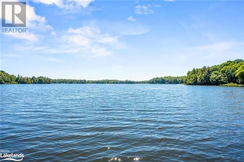 1047 Balmoral Lane, Gooderham, ON - Outdoor With Body Of Water With View