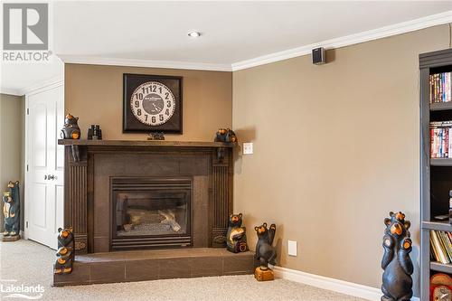 1047 Balmoral Lane, Gooderham, ON - Indoor Photo Showing Living Room With Fireplace