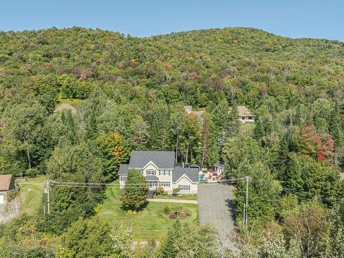 Overall view - 164 Ch. Du Mont-Catherine, Sainte-Agathe-Des-Monts, QC - Outdoor With View