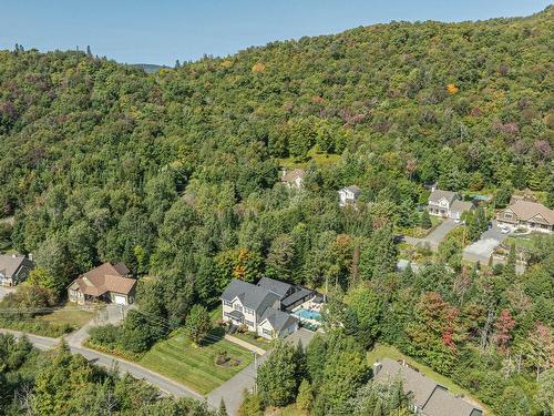 Overall view - 164 Ch. Du Mont-Catherine, Sainte-Agathe-Des-Monts, QC - Outdoor With View