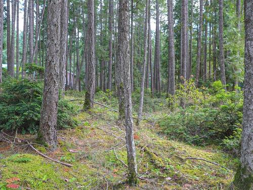 Lot 39 Lockinvar Lane, Gabriola Island, BC 