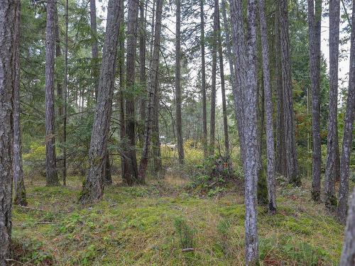 Lot 39 Lockinvar Lane, Gabriola Island, BC 