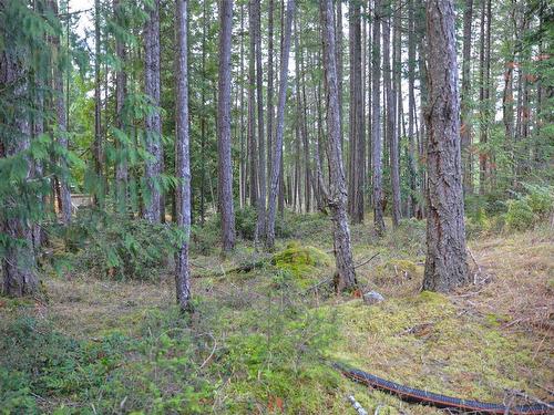 Lot 39 Lockinvar Lane, Gabriola Island, BC 