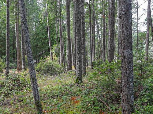 Lot 39 Lockinvar Lane, Gabriola Island, BC 