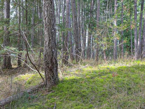 Lot 39 Lockinvar Lane, Gabriola Island, BC 