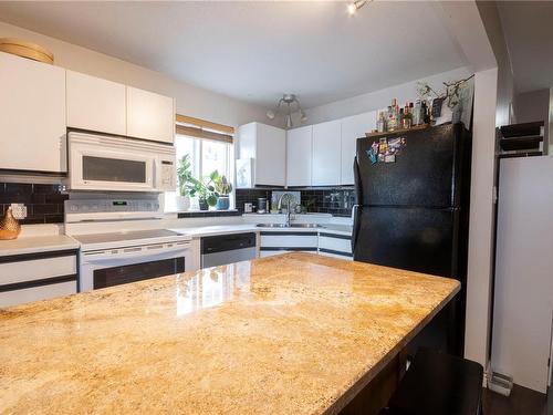 301-315 Hecate St, Nanaimo, BC - Indoor Photo Showing Kitchen With Double Sink