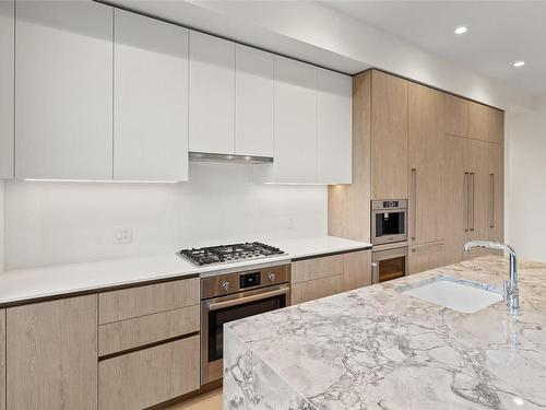 303-888 Government St, Victoria, BC - Indoor Photo Showing Kitchen With Upgraded Kitchen