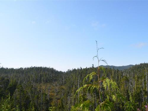 N/W 1/4 Shushartie Bay, Port Hardy, BC 