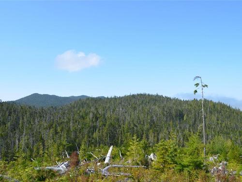 N/W 1/4 Shushartie Bay, Port Hardy, BC 