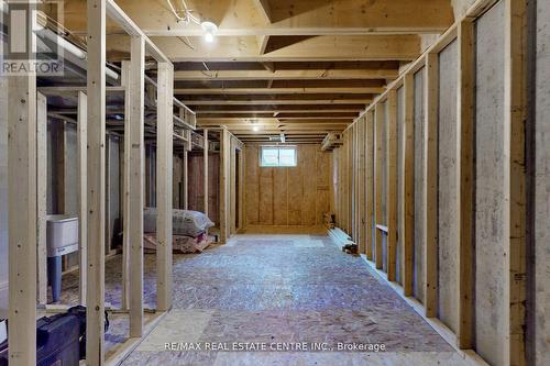 19 Mussen Street, Guelph, ON - Indoor Photo Showing Basement