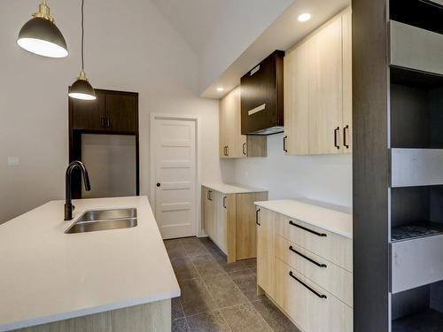 Kitchen - 3505 Rue Rolland, Sainte-Adèle, QC - Indoor Photo Showing Kitchen With Double Sink