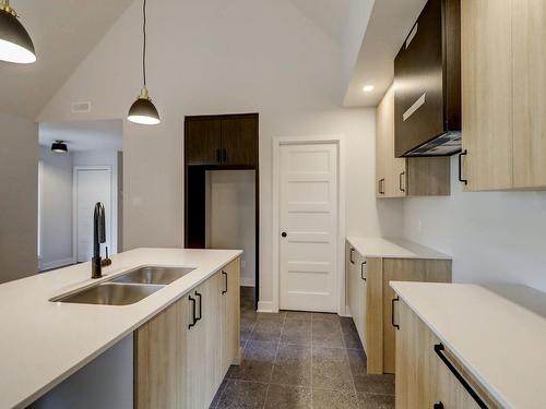 Kitchen - 3505 Rue Rolland, Sainte-Adèle, QC - Indoor Photo Showing Kitchen With Double Sink