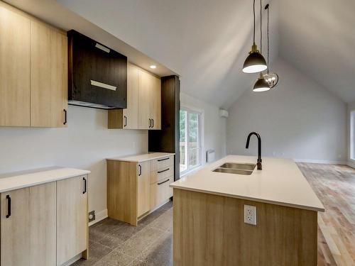 Kitchen - 3505 Rue Rolland, Sainte-Adèle, QC - Indoor Photo Showing Kitchen With Double Sink