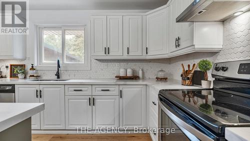 237 Memorial Drive, Brantford, ON - Indoor Photo Showing Kitchen With Upgraded Kitchen