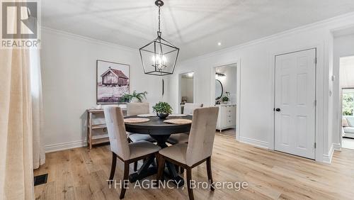 237 Memorial Drive, Brantford, ON - Indoor Photo Showing Dining Room