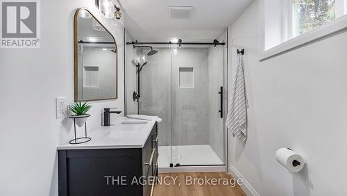 237 Memorial Drive, Brantford, ON - Indoor Photo Showing Bathroom