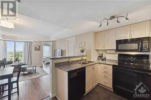 310 Central Park Drive Unit#4D, Ottawa, ON - Indoor Photo Showing Kitchen With Double Sink