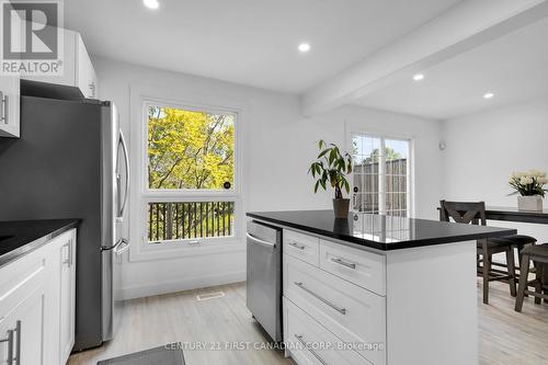 109 - 128 Mcmaster Drive, London, ON - Indoor Photo Showing Kitchen