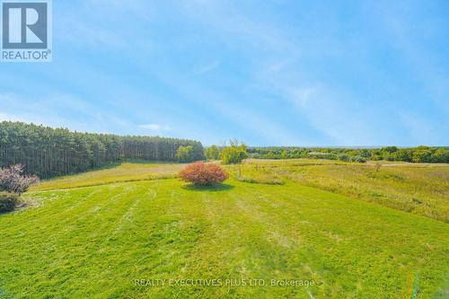 1570 Concession Rd 5, Adjala-Tosorontio, ON - Outdoor With View