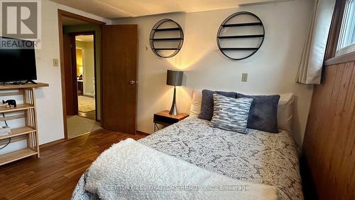 Lower - 404 Trent Street, Whitby, ON - Indoor Photo Showing Bedroom