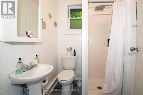 34 Deweys Island, Kawartha Lakes, ON - Indoor Photo Showing Bathroom