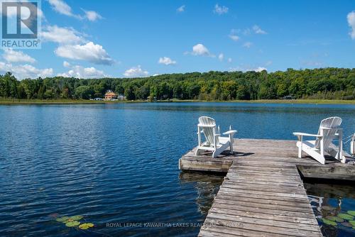 34 Deweys Island, Kawartha Lakes, ON - Outdoor With Body Of Water With View