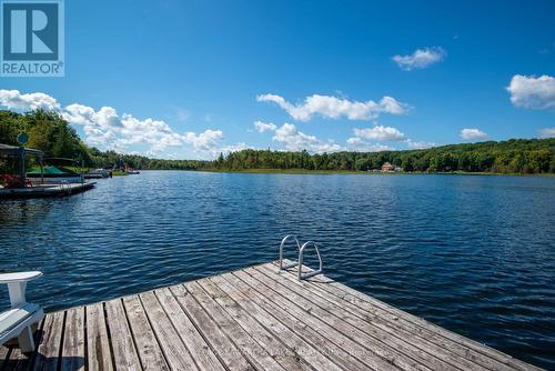 34 Deweys Island, Kawartha Lakes, ON - Outdoor With Body Of Water With View