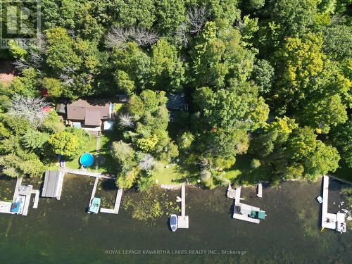 34 Deweys Island, Kawartha Lakes, ON - Outdoor With Body Of Water