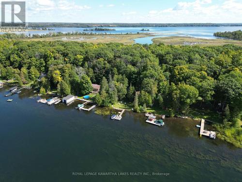 34 Deweys Island, Kawartha Lakes, ON - Outdoor With Body Of Water With View