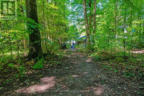 34 Deweys Island, Kawartha Lakes, ON - Outdoor