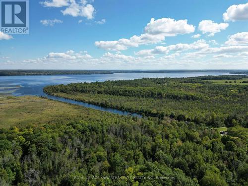 34 Deweys Island, Kawartha Lakes, ON - Outdoor With Body Of Water With View