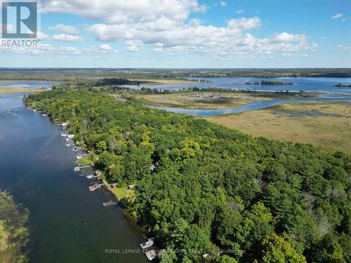 34 Deweys Island, Kawartha Lakes, ON - Outdoor With Body Of Water With View