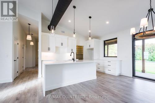 225 Mitchell'S Crossroad, Prince Edward County (North Marysburgh), ON - Indoor Photo Showing Kitchen With Upgraded Kitchen