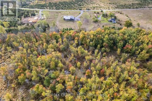 225 Mitchell'S Crossroad, Prince Edward County (North Marysburgh), ON - Outdoor With View