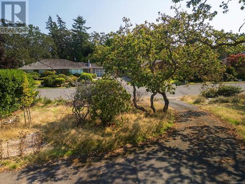 3240 Norfolk Rd, Oak Bay, BC - Outdoor With View