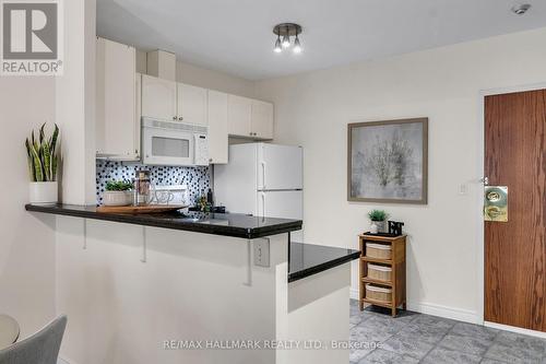 203 - 135 Maitland Street, Toronto, ON - Indoor Photo Showing Kitchen