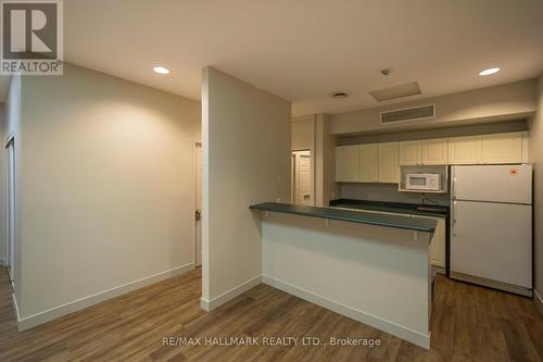 203 - 135 Maitland Street, Toronto, ON - Indoor Photo Showing Kitchen