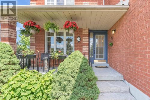 19 Sumac Street, Barrie (Innis-Shore), ON - Outdoor