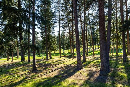 2227 Shannon Woods Place, West Kelowna, BC - Outdoor With View