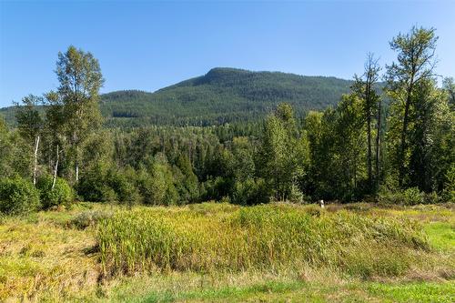 2904 Enderby Mabel Lake Road, Enderby, BC - Outdoor With View