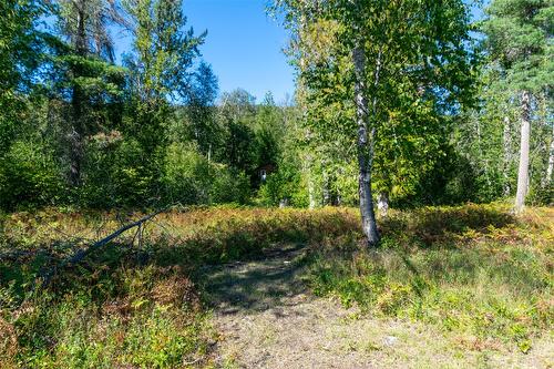 2904 Enderby Mabel Lake Road, Enderby, BC - Outdoor