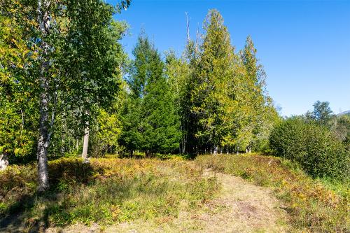 2904 Enderby Mabel Lake Road, Enderby, BC - Outdoor With View