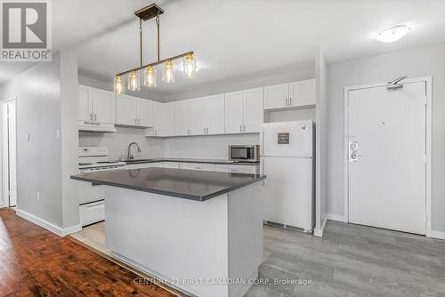 704 - 563 Mornington Avenue, London, ON - Indoor Photo Showing Kitchen