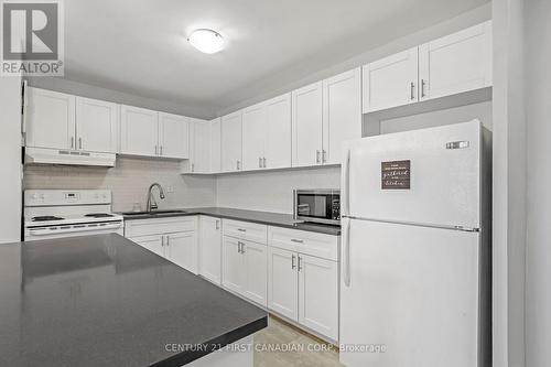 704 - 563 Mornington Avenue, London, ON - Indoor Photo Showing Kitchen